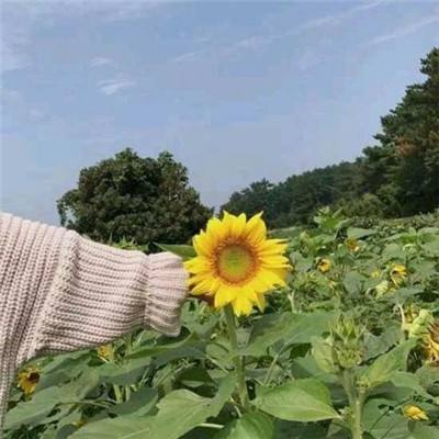 雄霸天下满v变态版下载